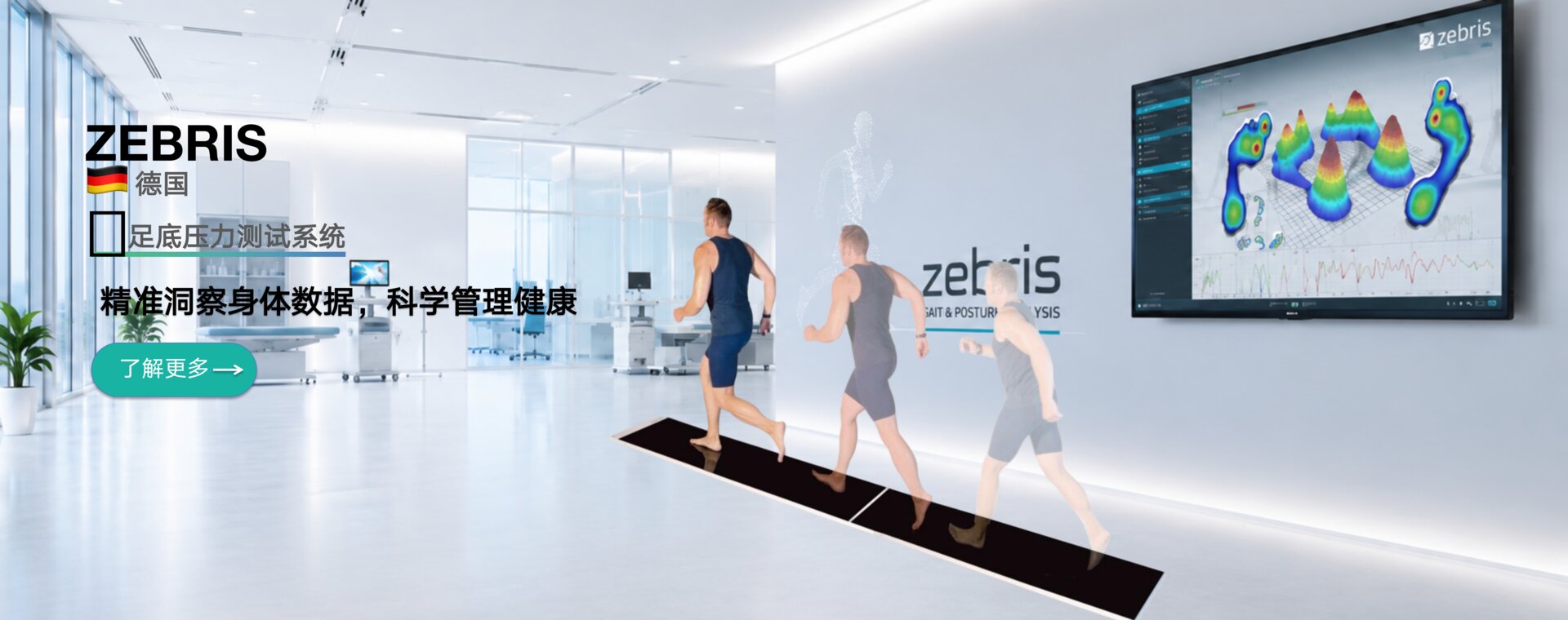 ZEBRIS